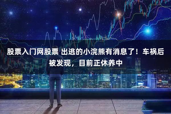 股票入门网股票 出逃的小浣熊有消息了！车祸后被发现，目前正休养中