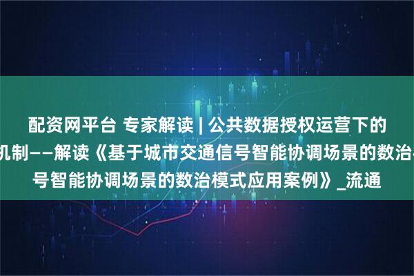配资网平台 专家解读 | 公共数据授权运营下的数据安全与利用平衡机制——解读《基于城市交通信号智能协调场景的数治模式应用案例》_流通